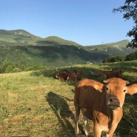 Apartment La Bourboule: T2 Bis Pour 5 Pers, 49m², Avec Wifi - Fr-1-608-243 *